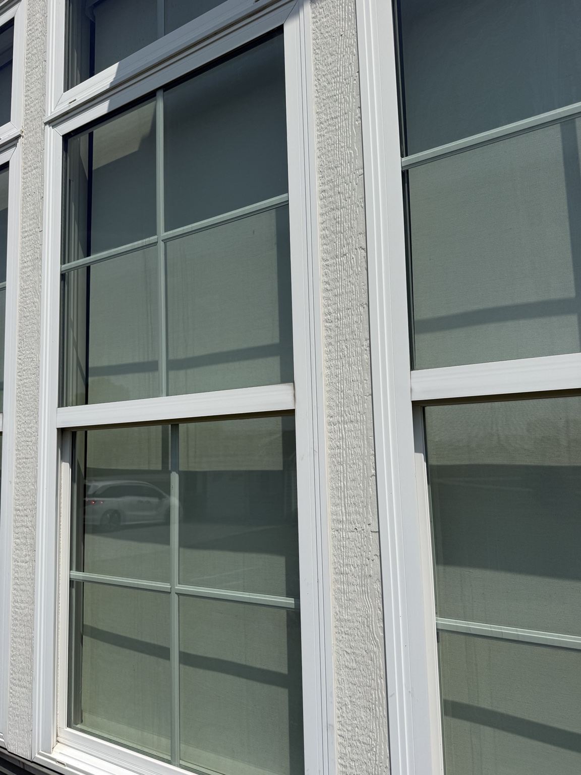 Row of clean windows after professional exterior window cleaning